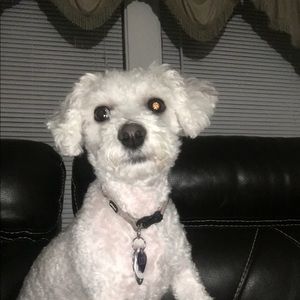 Meet your Posher, Heather